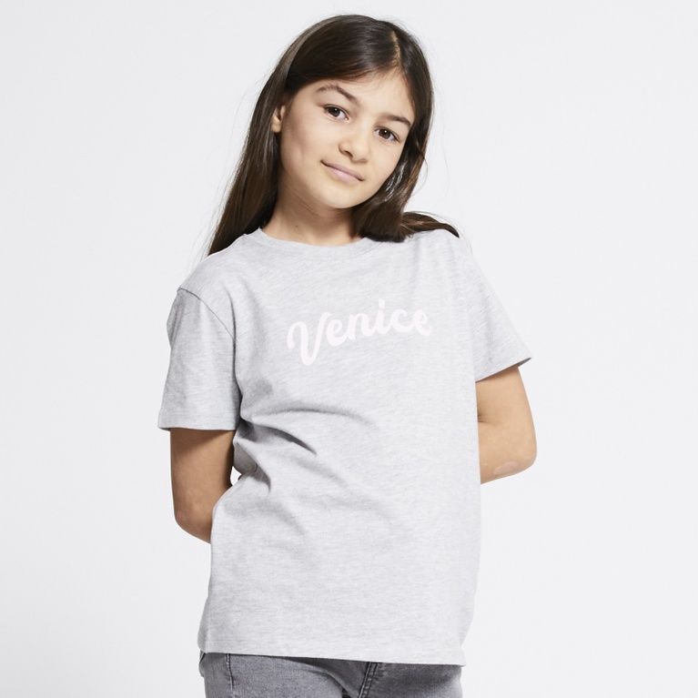 Printed t-shirt "Dusty star"